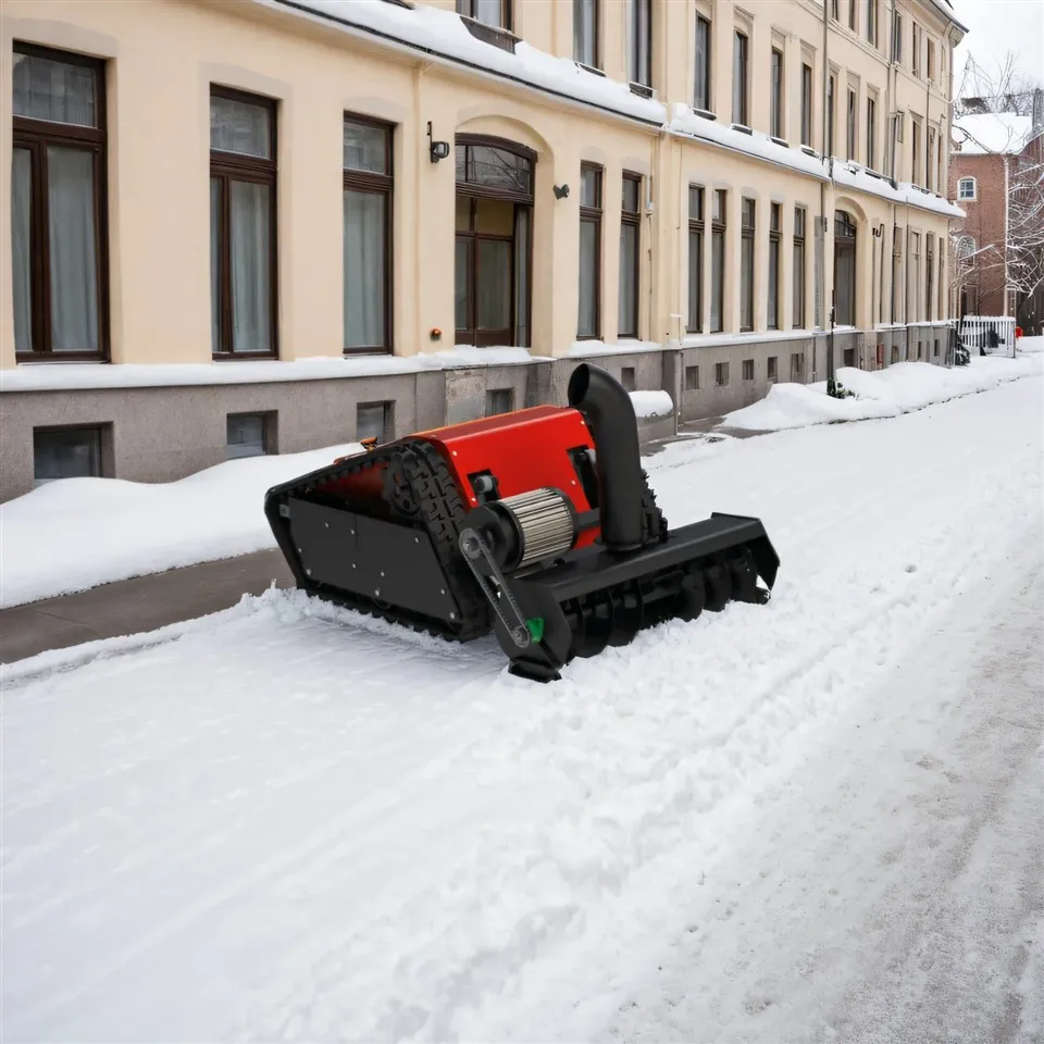 Remover Sneachta Crawler Leictreach